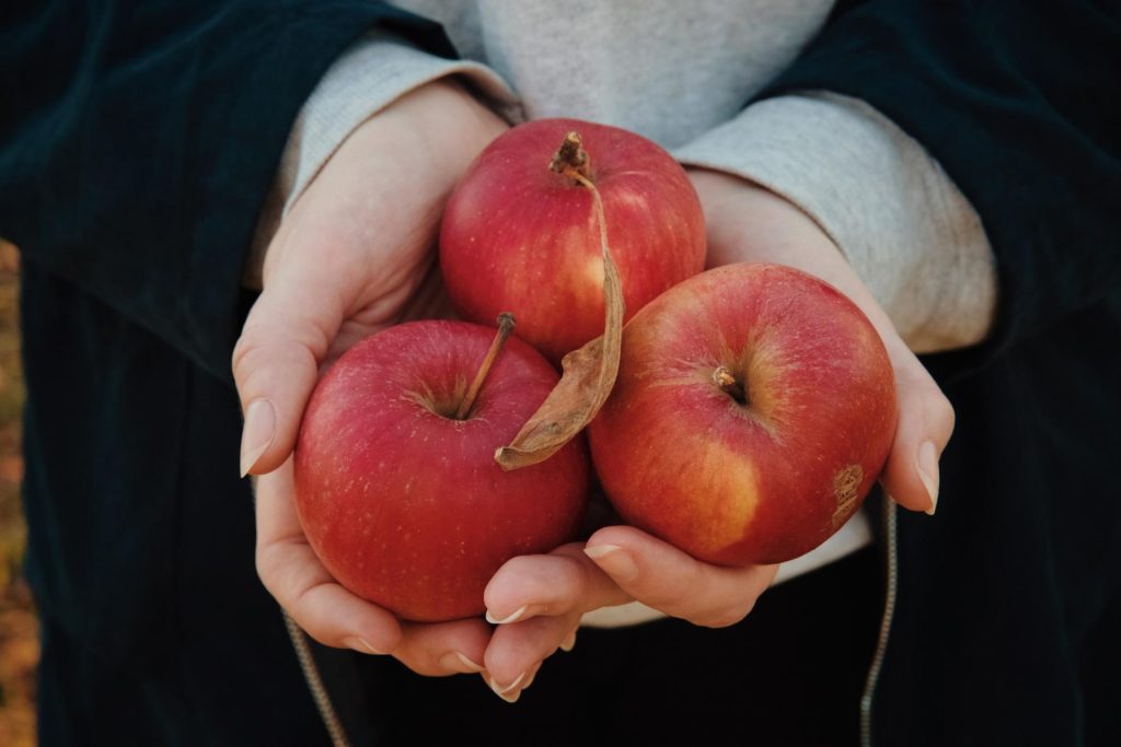 Red apple being held by two hands